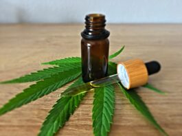 CBD olie kopen is legaal in Nederland!