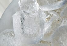 Een vrieskist is onmisbaar in de horeca