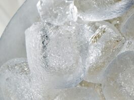 Een vrieskist is onmisbaar in de horeca