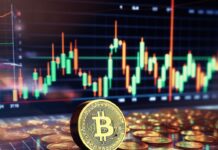 Hoe Cryptocurrency de Financiële Wereld in 2023 Verandert