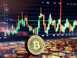 Hoe Cryptocurrency de Financiële Wereld in 2023 Verandert