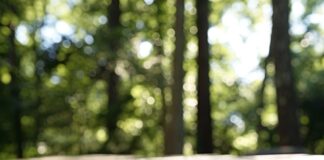 Houten oppervlakken schoon houden