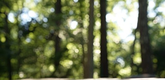 Houten oppervlakken schoon houden